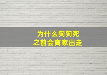 为什么狗狗死之前会离家出走