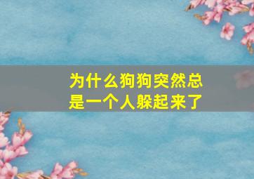 为什么狗狗突然总是一个人躲起来了