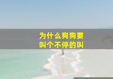 为什么狗狗要叫个不停的叫