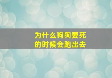 为什么狗狗要死的时候会跑出去