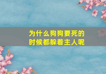 为什么狗狗要死的时候都躲着主人呢