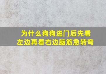 为什么狗狗进门后先看左边再看右边脑筋急转弯