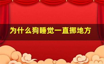 为什么狗睡觉一直挪地方