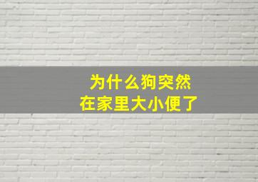 为什么狗突然在家里大小便了