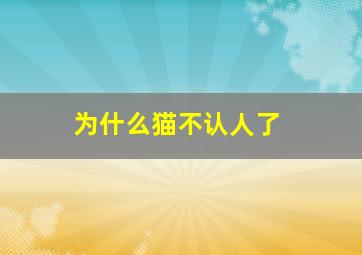 为什么猫不认人了