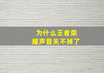 为什么王者荣耀声音关不掉了