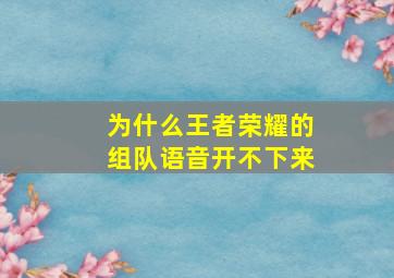 为什么王者荣耀的组队语音开不下来