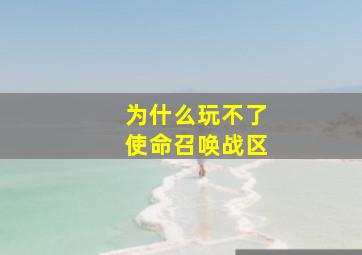 为什么玩不了使命召唤战区