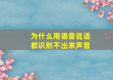 为什么用语音说话都识别不出来声音