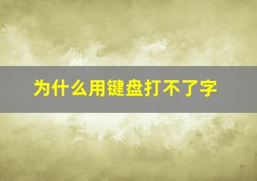 为什么用键盘打不了字