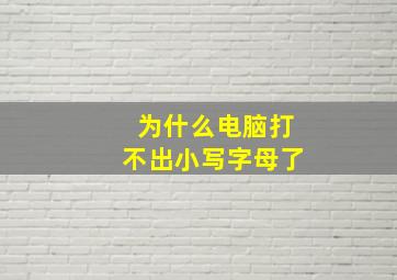 为什么电脑打不出小写字母了