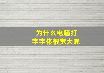 为什么电脑打字字体很宽大呢