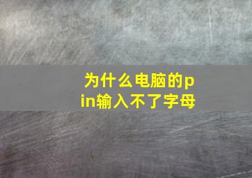 为什么电脑的pin输入不了字母