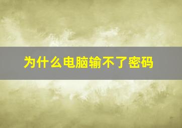 为什么电脑输不了密码