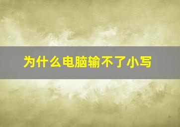 为什么电脑输不了小写