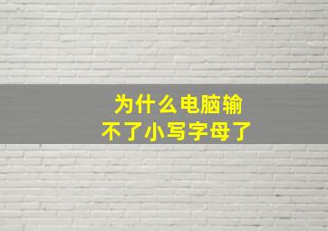 为什么电脑输不了小写字母了