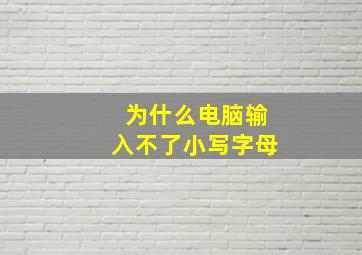 为什么电脑输入不了小写字母