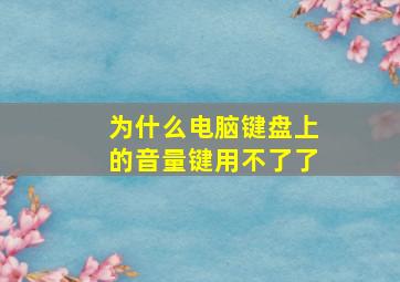 为什么电脑键盘上的音量键用不了了