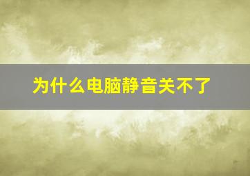 为什么电脑静音关不了