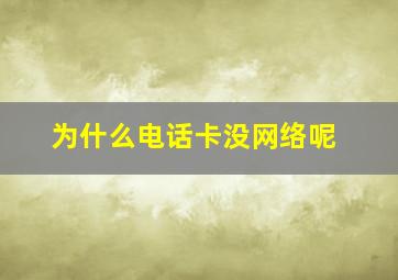 为什么电话卡没网络呢