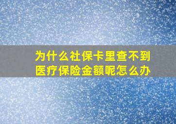 为什么社保卡里查不到医疗保险金额呢怎么办