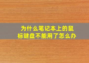 为什么笔记本上的鼠标键盘不能用了怎么办