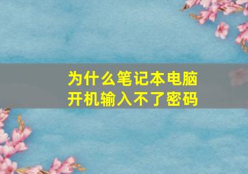 为什么笔记本电脑开机输入不了密码