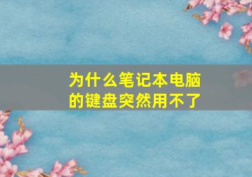 为什么笔记本电脑的键盘突然用不了