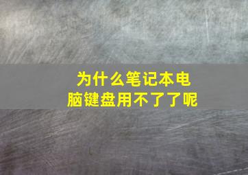 为什么笔记本电脑键盘用不了了呢