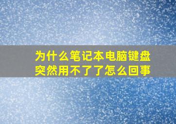 为什么笔记本电脑键盘突然用不了了怎么回事