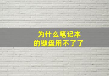 为什么笔记本的键盘用不了了