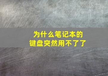 为什么笔记本的键盘突然用不了了