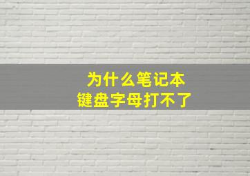 为什么笔记本键盘字母打不了