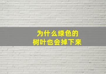 为什么绿色的树叶也会掉下来