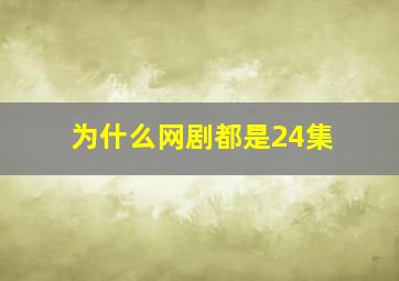 为什么网剧都是24集