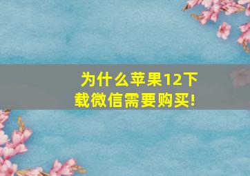 为什么苹果12下载微信需要购买!