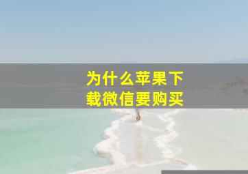 为什么苹果下载微信要购买