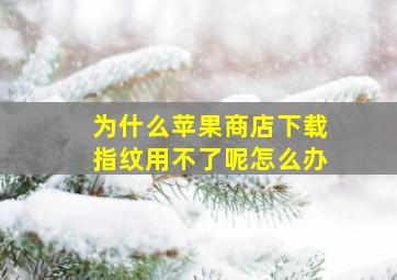 为什么苹果商店下载指纹用不了呢怎么办