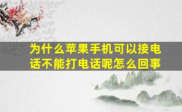 为什么苹果手机可以接电话不能打电话呢怎么回事