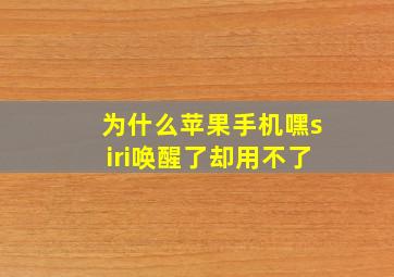 为什么苹果手机嘿siri唤醒了却用不了