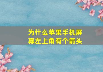 为什么苹果手机屏幕左上角有个箭头