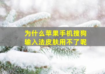 为什么苹果手机搜狗输入法皮肤用不了呢