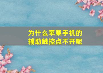 为什么苹果手机的辅助触控点不开呢