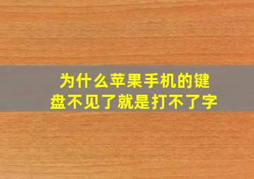 为什么苹果手机的键盘不见了就是打不了字