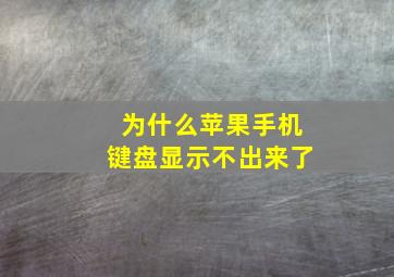 为什么苹果手机键盘显示不出来了