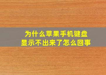 为什么苹果手机键盘显示不出来了怎么回事