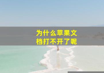 为什么苹果文档打不开了呢