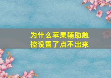 为什么苹果辅助触控设置了点不出来