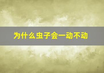 为什么虫子会一动不动