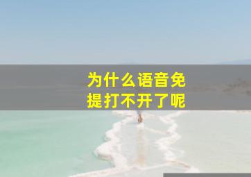 为什么语音免提打不开了呢